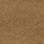 Rawhide Cover Color Swatch