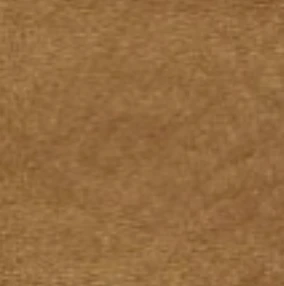 Rawhide Cover Color Swatch