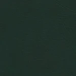 Forest Green Cover Color Swatch