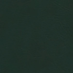 Forest Green Cover Color Swatch